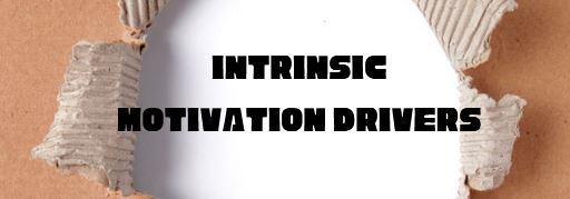 Intrinsic Motivation Drivers