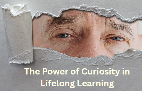 The Power of Curiosity in Lifelong Learning