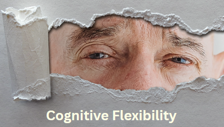 Cognitive Flexibility