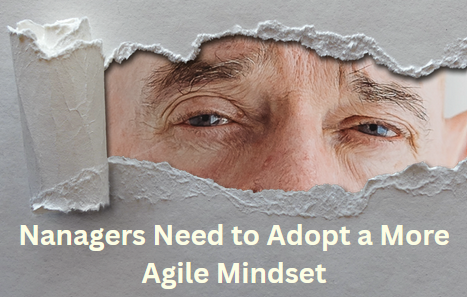 Nanagers Need to Adopt a More Agile Mindset