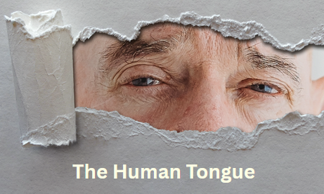 The Human Tongue