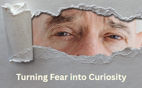 Turning Fear into Curiosity turning fear into curiosity